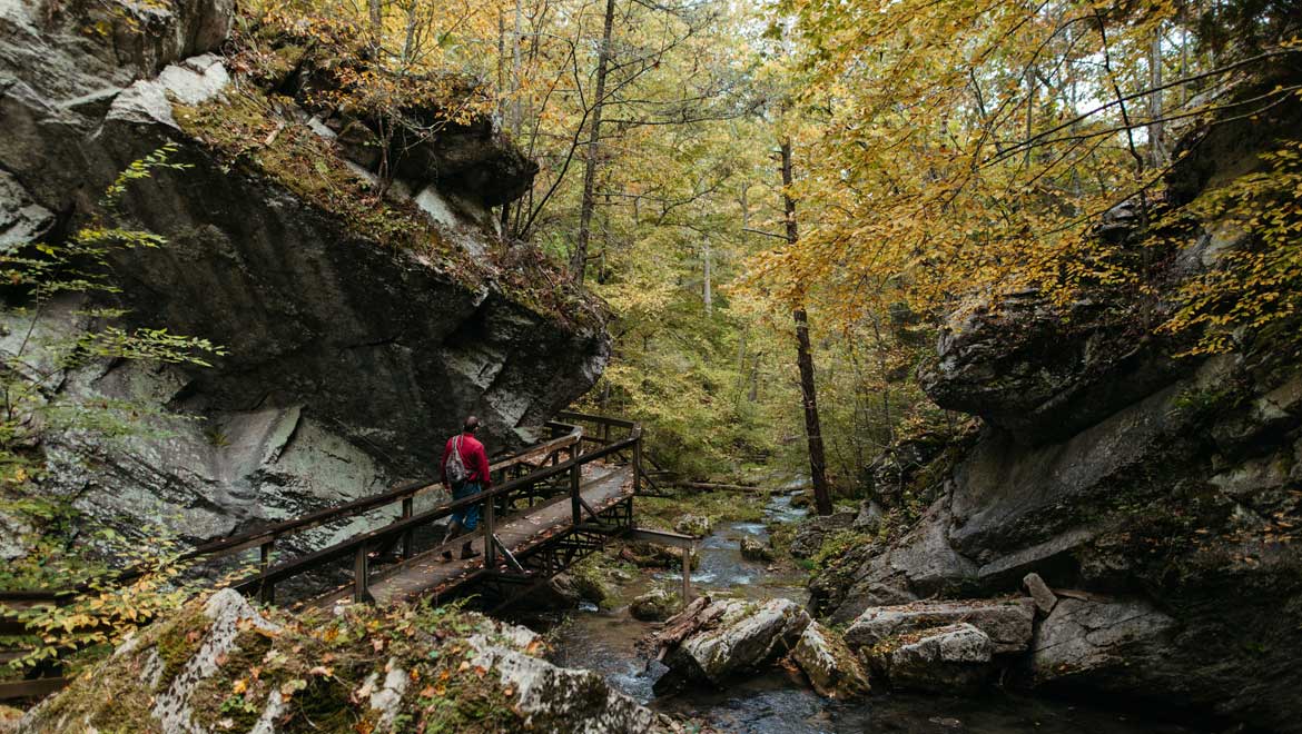 River Reflexology Walk trail at The Omni Homestead